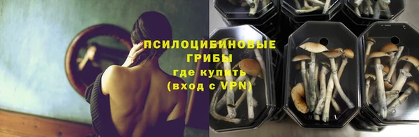 бутират Горняк