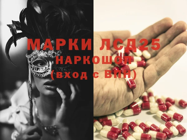 прущие грибы Гусиноозёрск