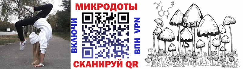 Галлюциногенные грибы Magic Shrooms  Ершов 