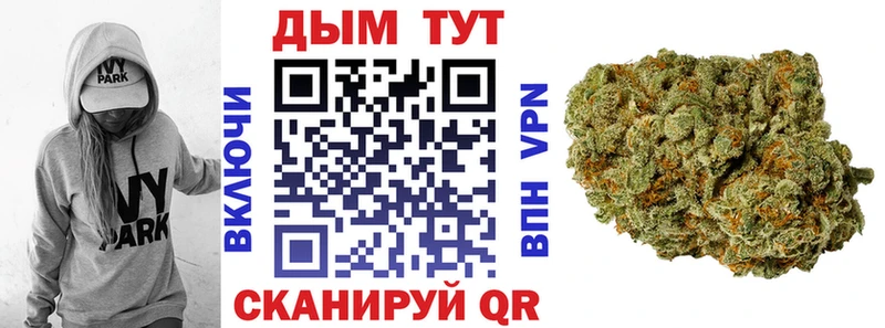 Шишки марихуана VHQ  нарко площадка состав  Ершов 